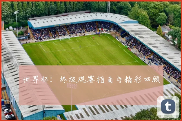 世界杯：终极观赛指南与精彩回顾