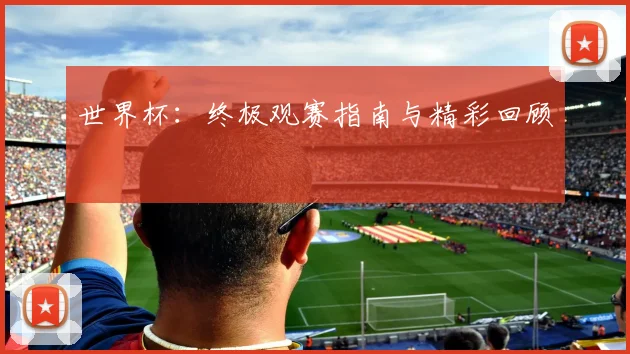 世界杯：终极观赛指南与精彩回顾